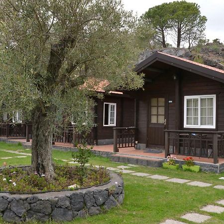 Etna Hut Bed & Breakfast Nicolosi Ngoại thất bức ảnh