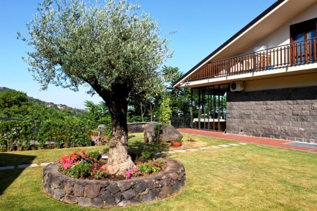 Etna Hut Bed & Breakfast Nicolosi Ngoại thất bức ảnh